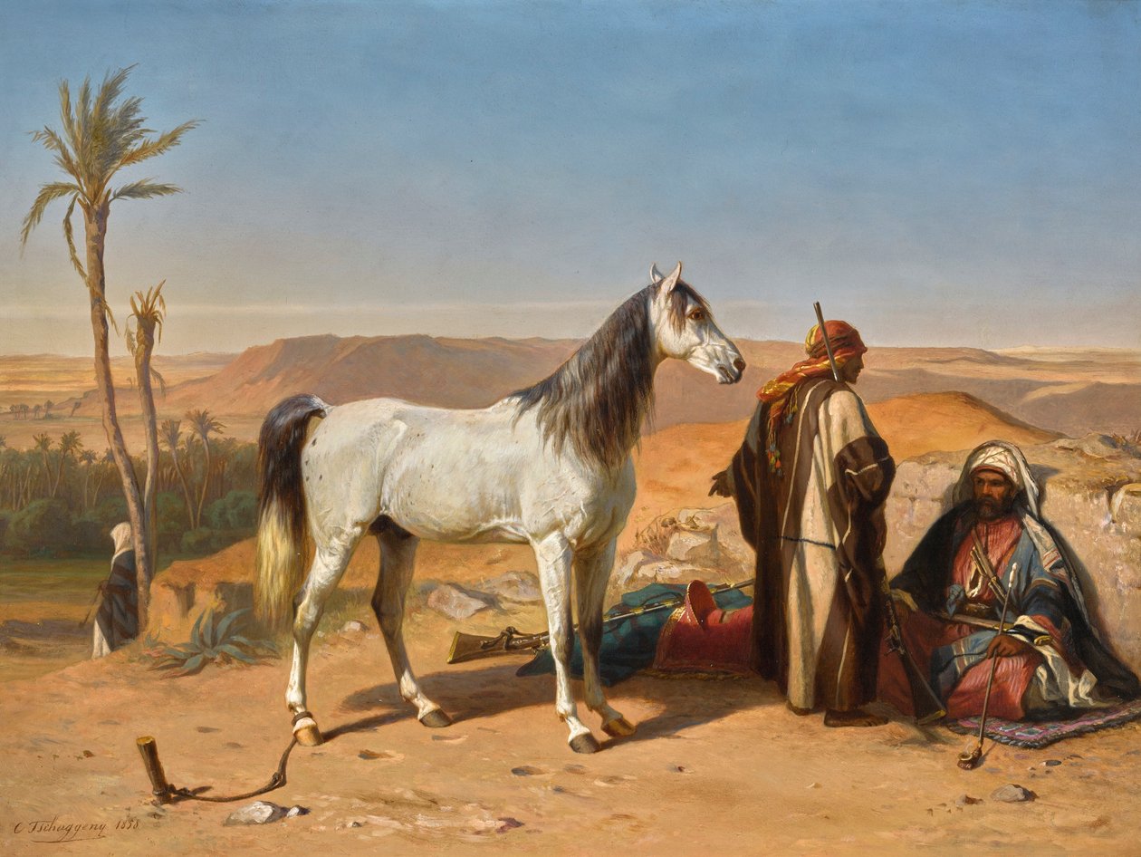 Un arabo nel deserto da Charles Tschaggeny