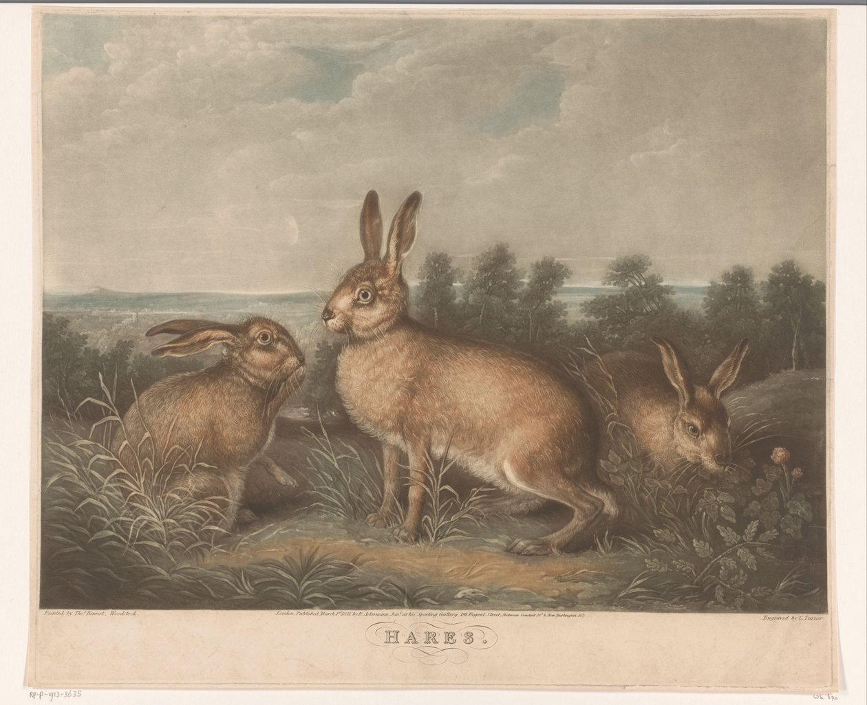 Tre lepri da Charles Turner