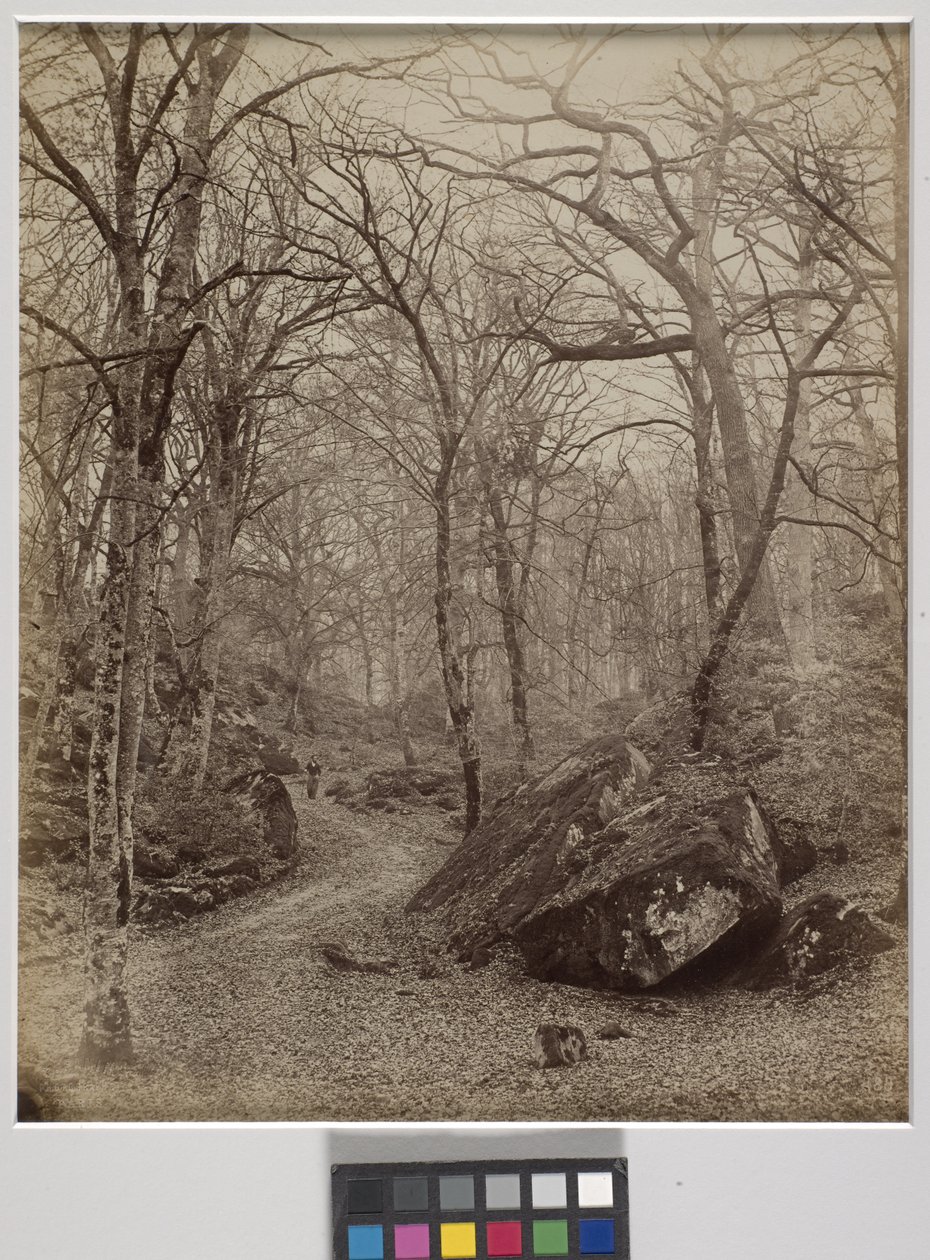 Fontainebleau, c.1870 da Charles Victor Famin