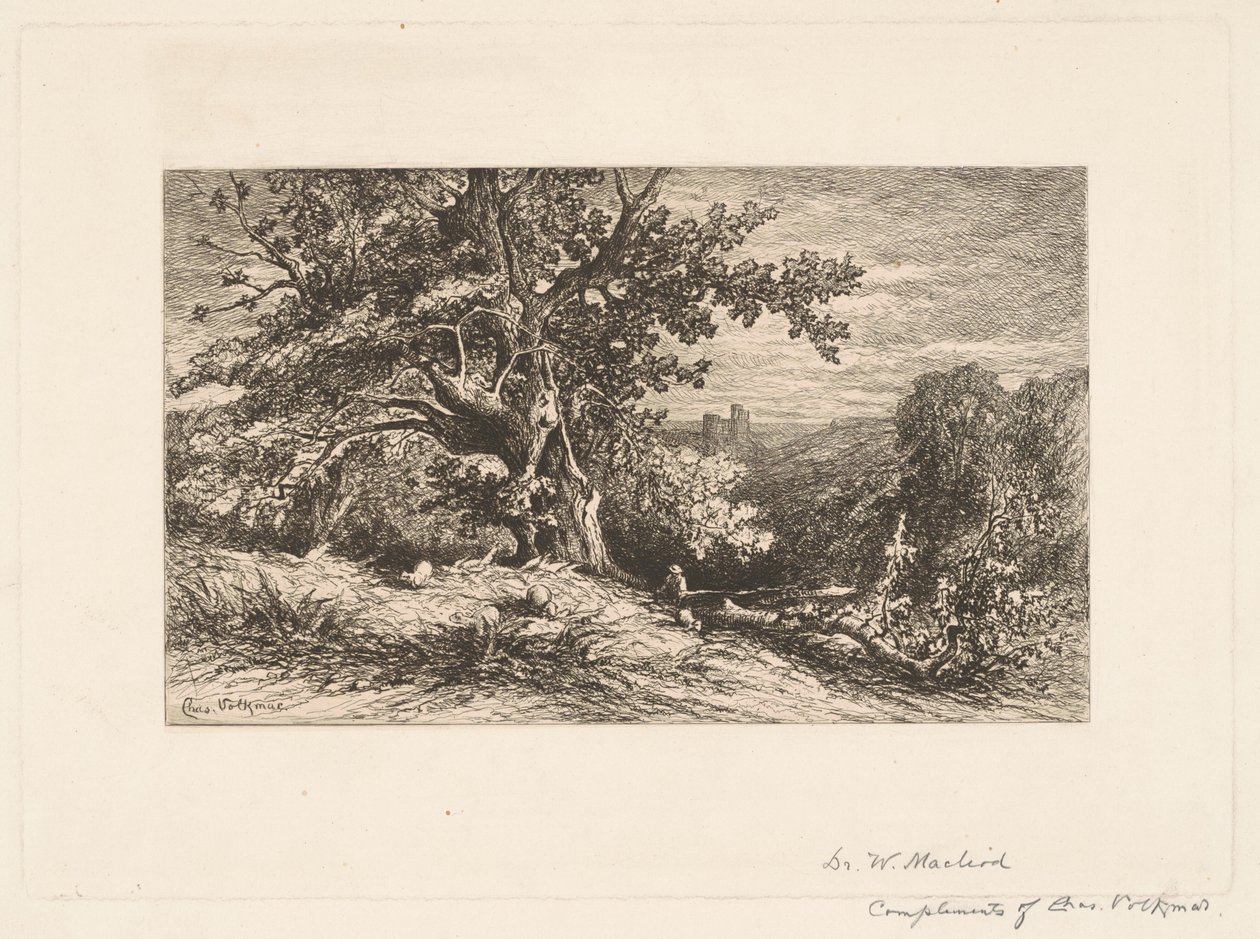 Paesaggio con albero caduto da Charles Volkmar
