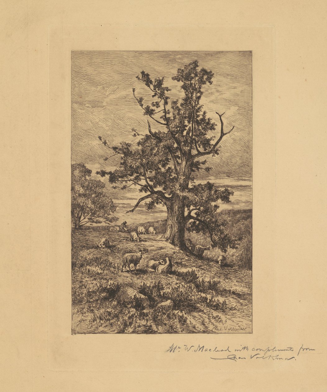 Paesaggio con pecore da Charles Volkmar