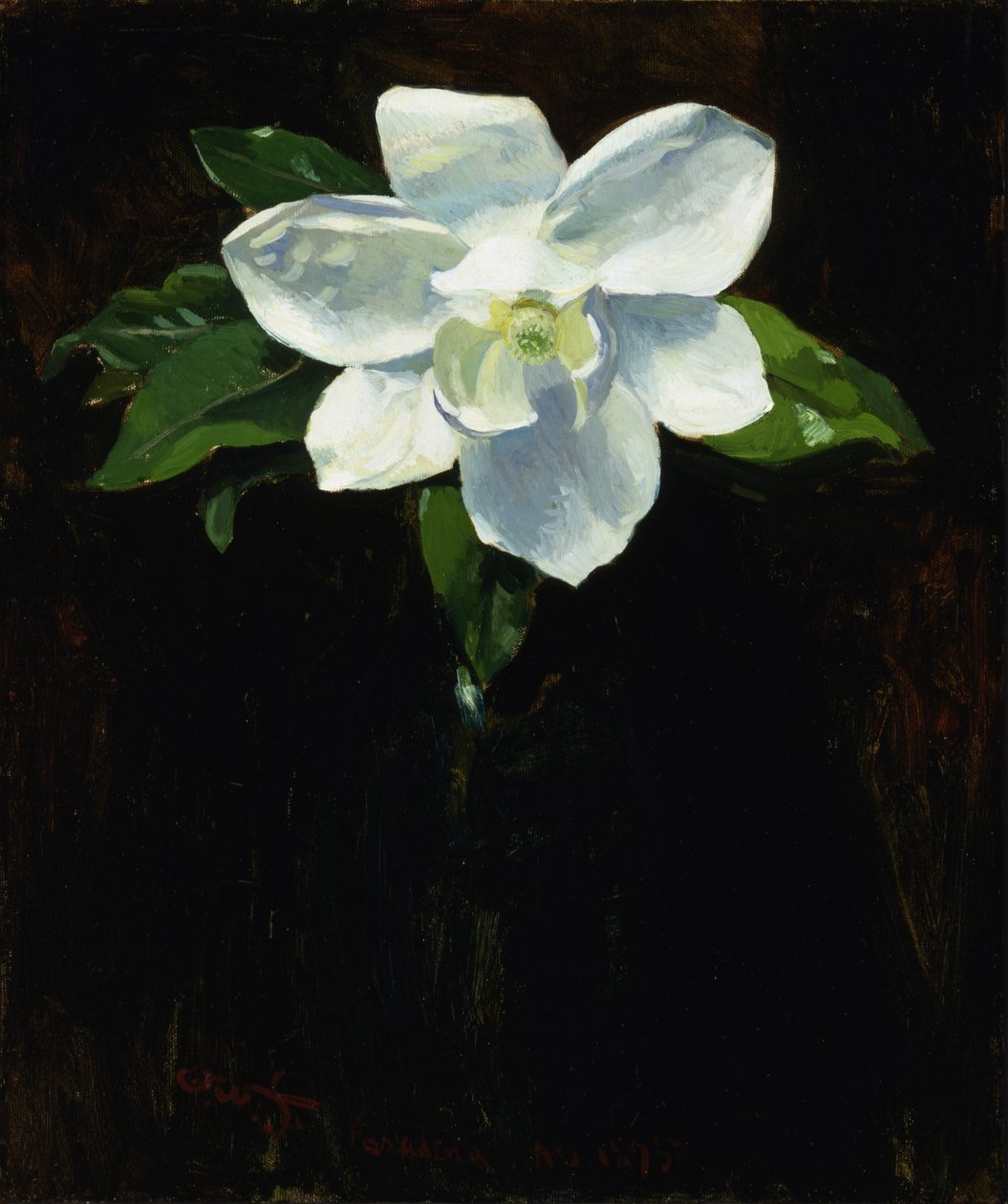 Magnolia da Charles Walter Stetson