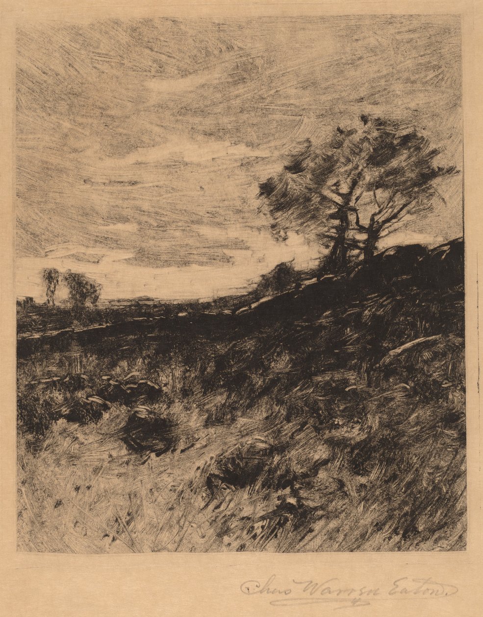 Paesaggio da Charles Warren Eaton