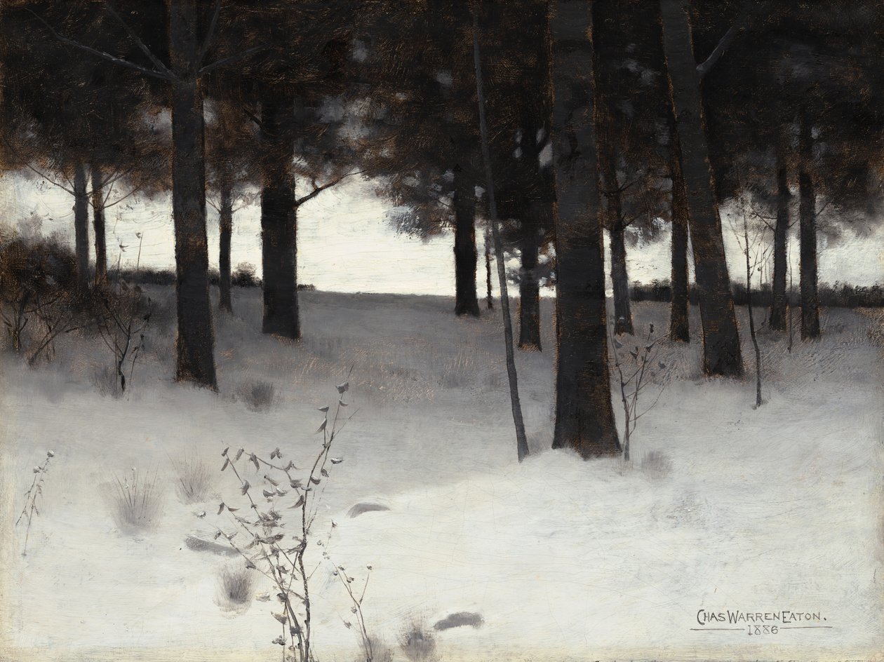 Boschi in inverno da Charles Warren Eaton