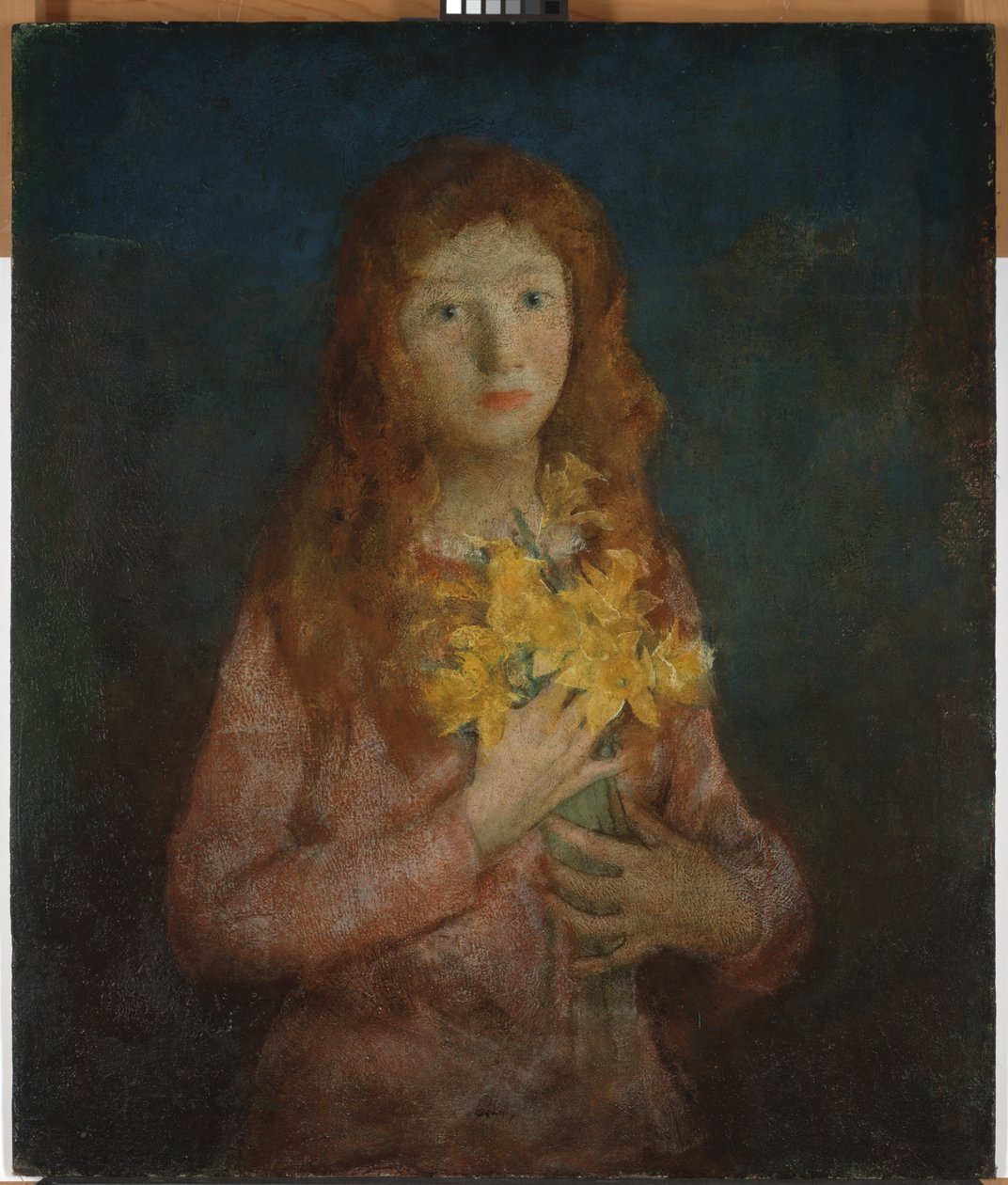 Un mare di narcisi dorati da Charles Webster Hawthorne