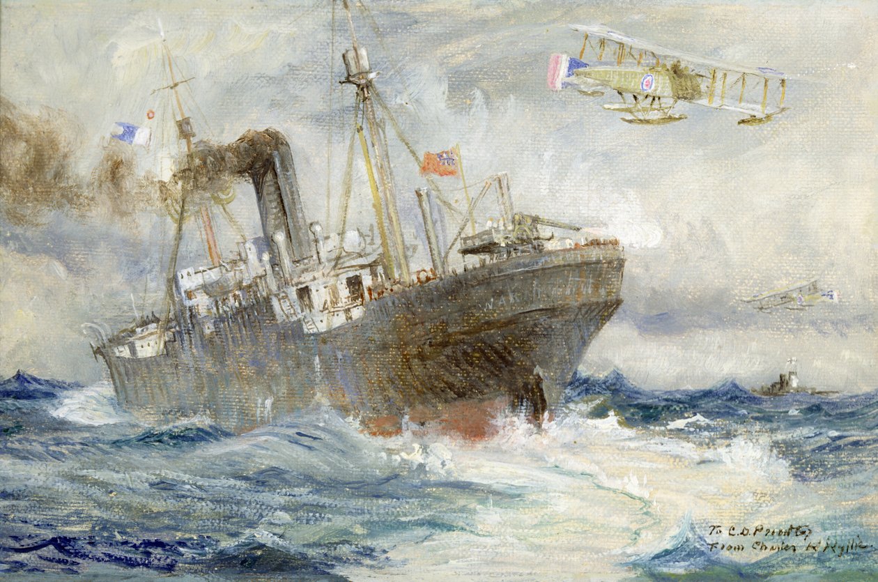Ingaggiare il nemico da Charles William Wyllie