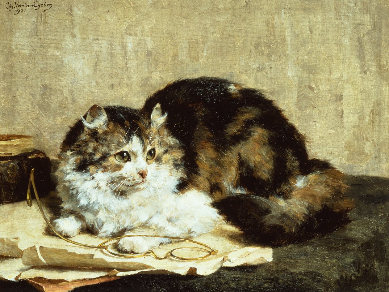 Un gatto tigrato da Charles van den Eycken