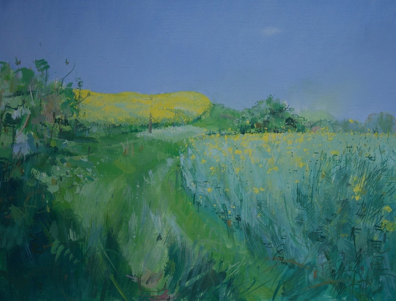 Maggio da Charlie Millar