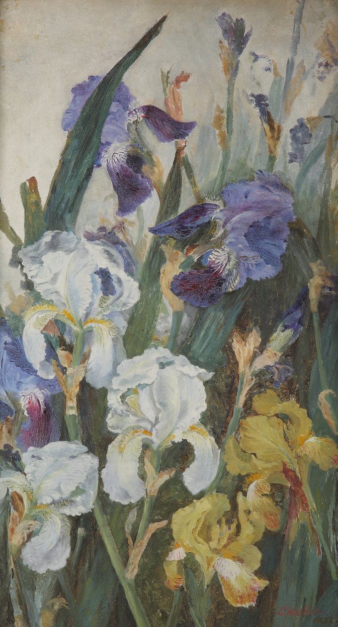Iris, 1882 da Charlotte Hodder