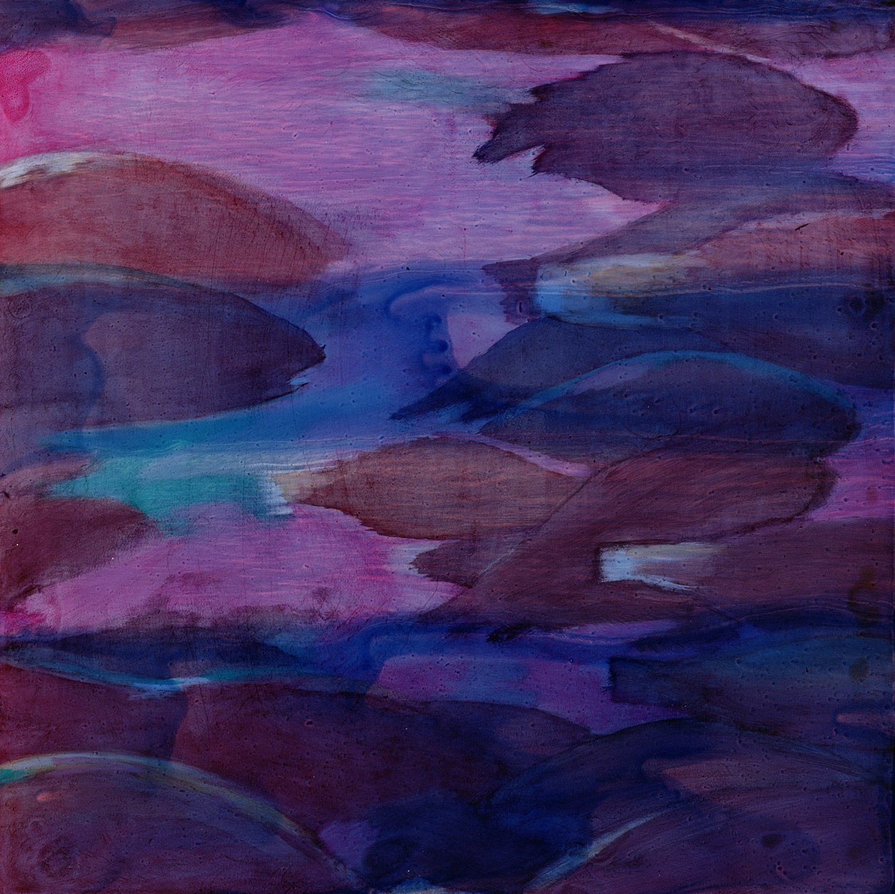Pappagalli Viola VI, 2000 da Charlotte Johnstone