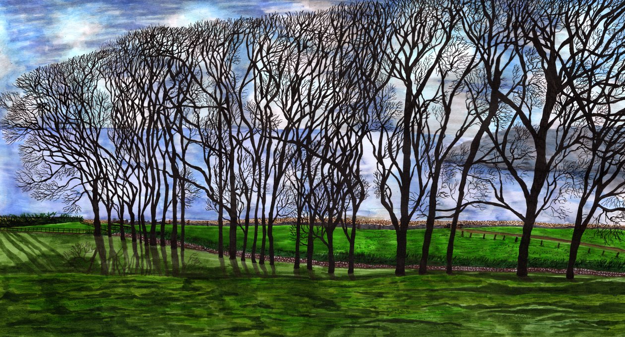 Cushendun, Irlanda del Nord, 2020 da Charlotte Orr