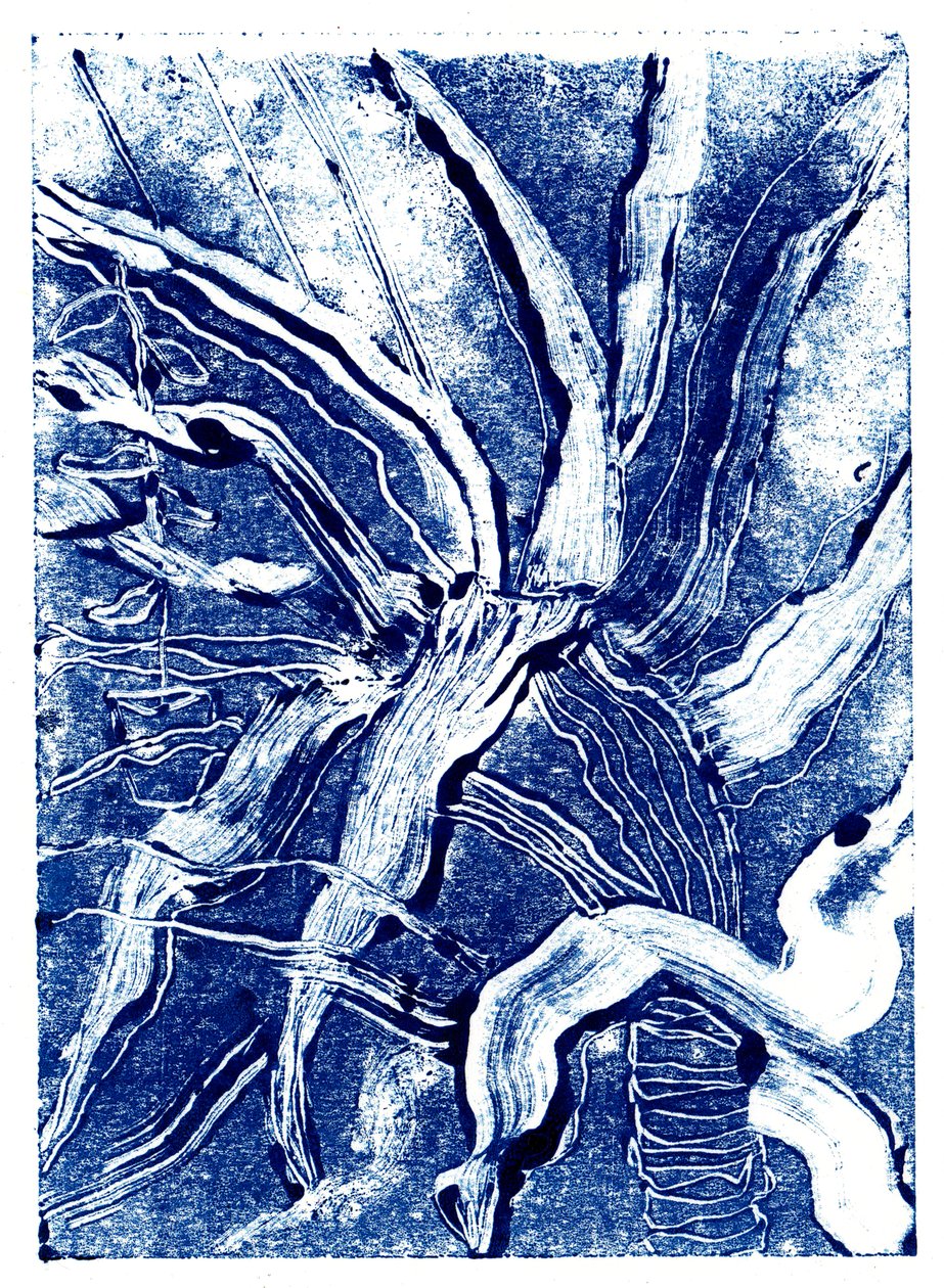 Piante inchiostrate n.2 da Charlotte Orr