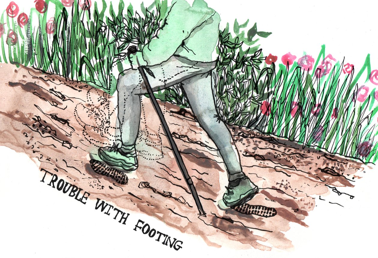 Illustrazioni del Parkinson, 2019 da Charlotte Orr