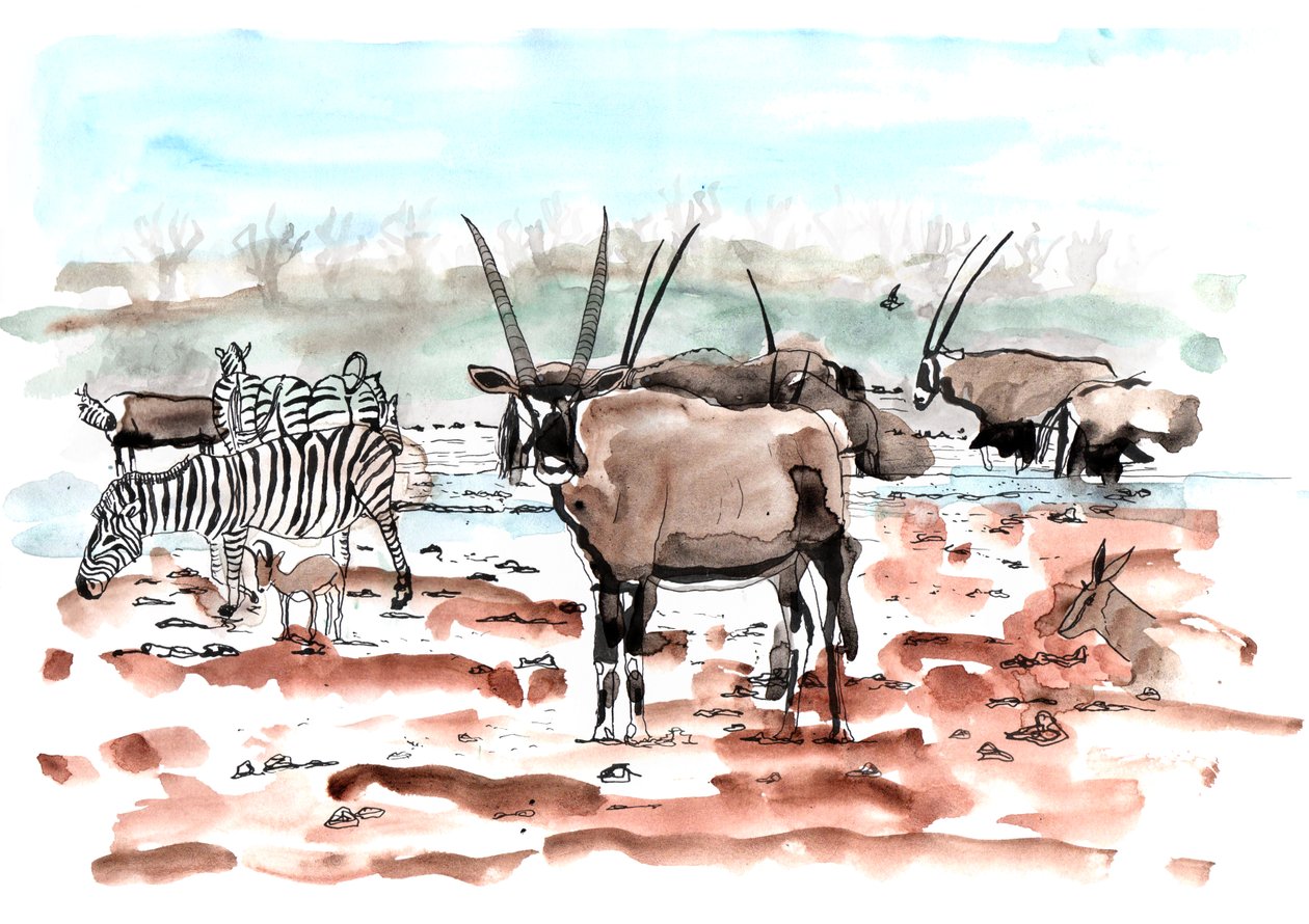 Safari, 2018 da Charlotte Orr