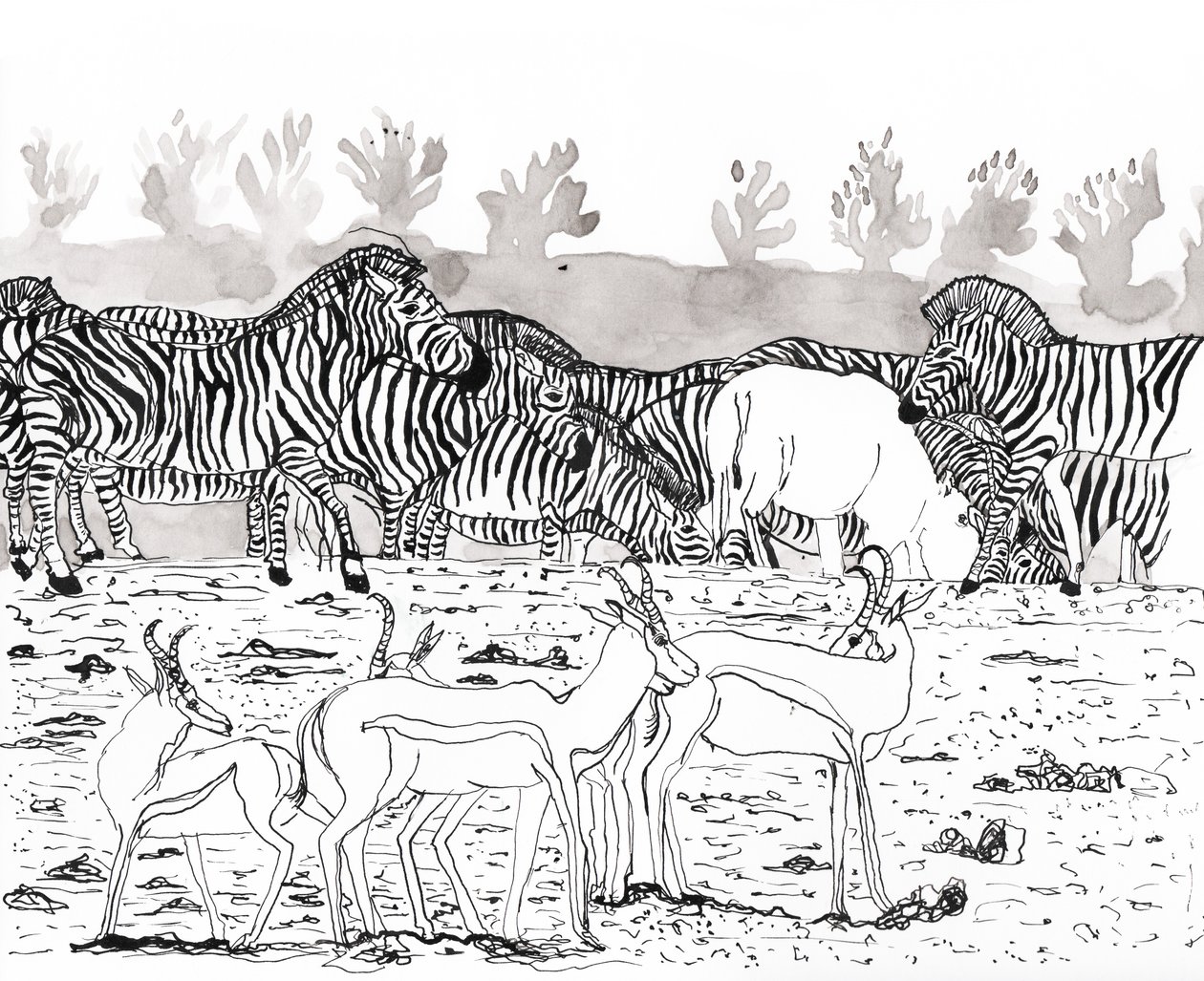 Safari 3, 2018 da Charlotte Orr