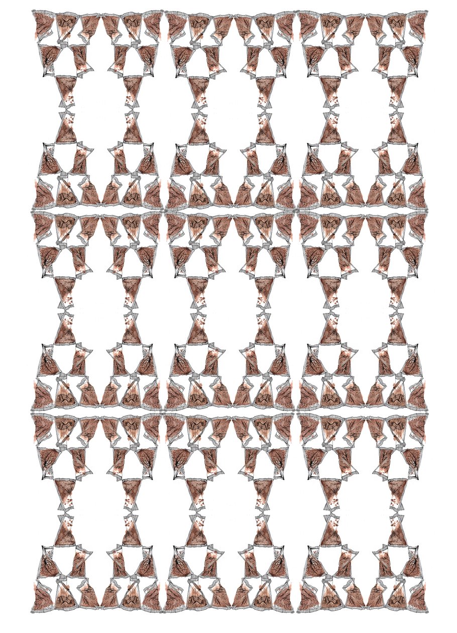 Design di confezioni di tè, 2018 da Charlotte Orr