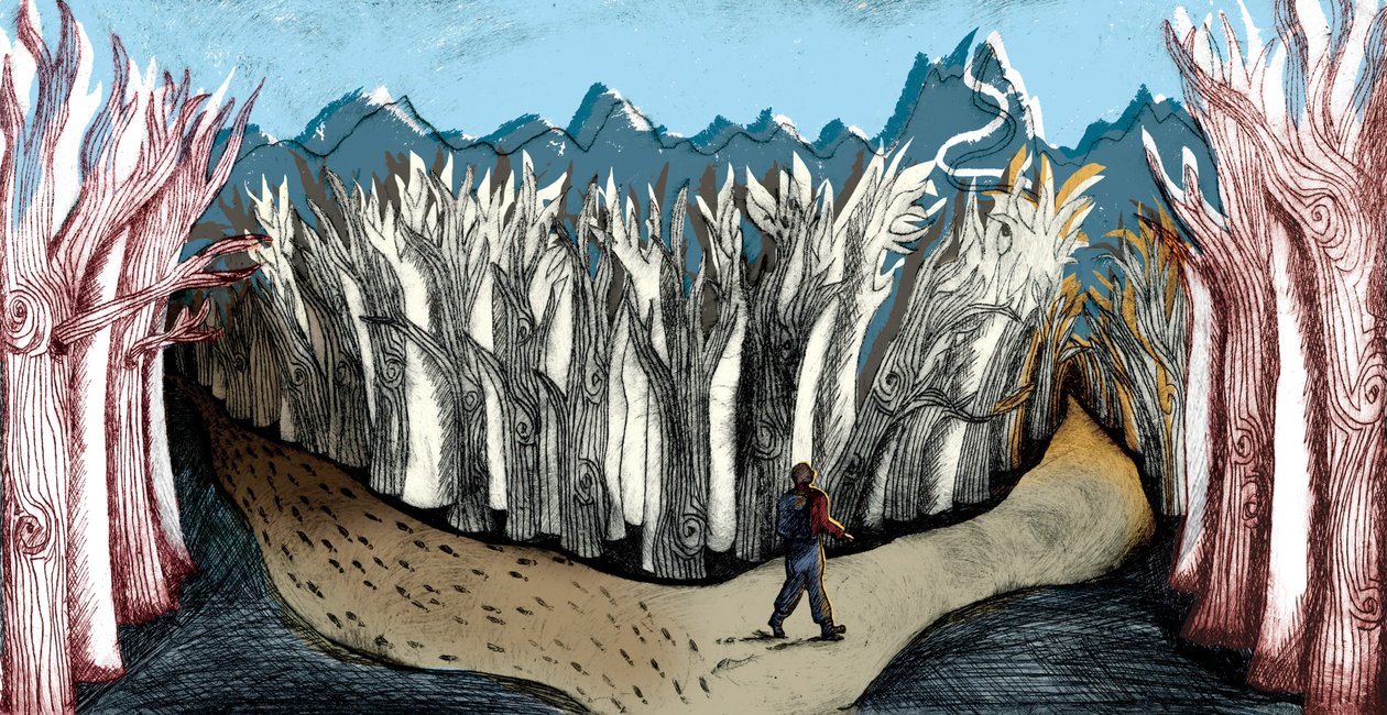 La strada meno percorsa da Charlotte Orr