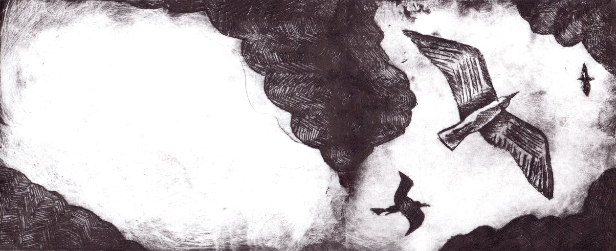 Il racconto del gabbiano da Charlotte Orr