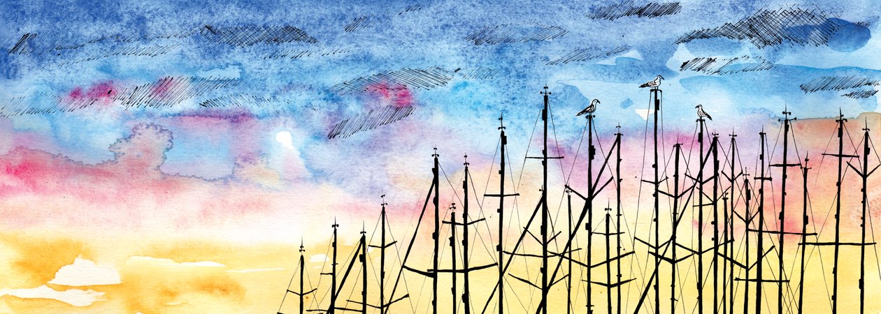 La storia del gabbiano da Charlotte Orr