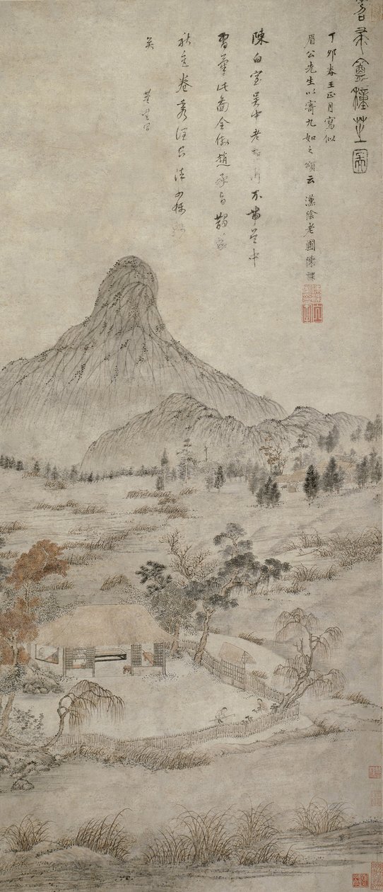 Piantare fungo fragrante al Tiaozhou