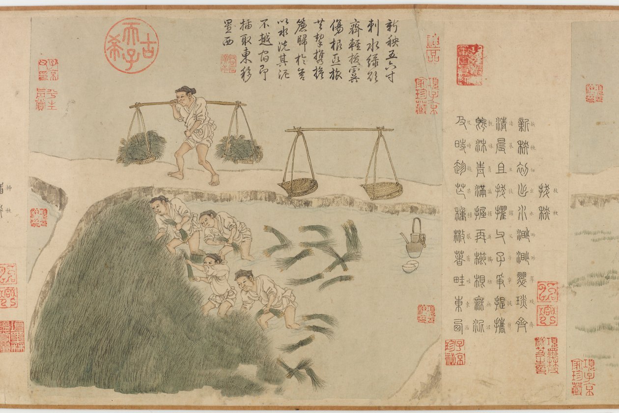 Risaie, Dinastia Yuan da Cheng Qi