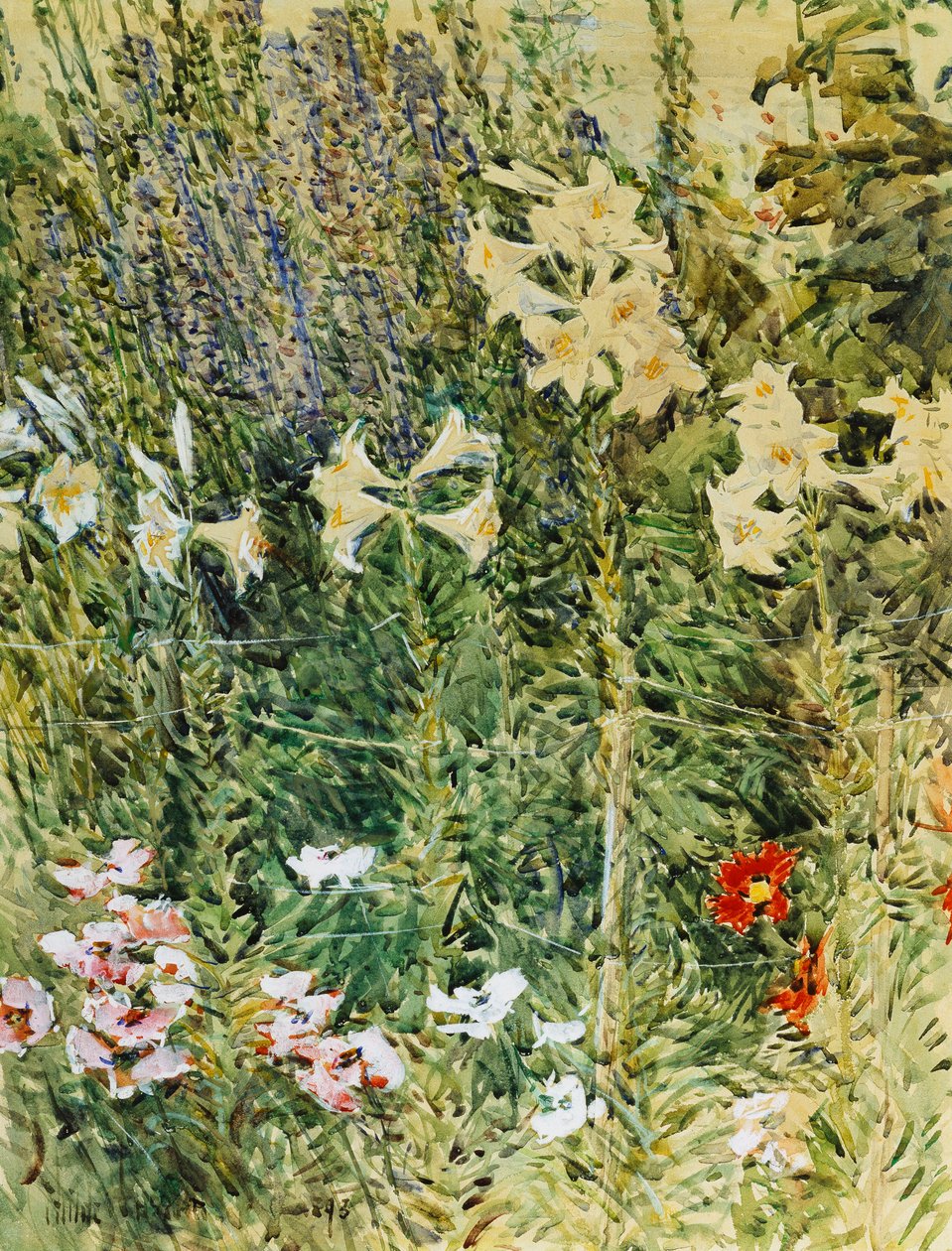 Speronella e Gigli da Childe Frederick Hassam