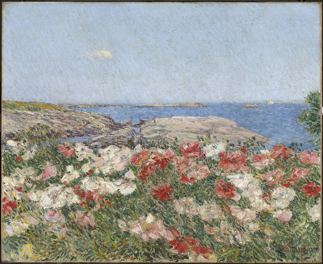 Papaveri sulle Isole di Shoals da Childe Frederick Hassam