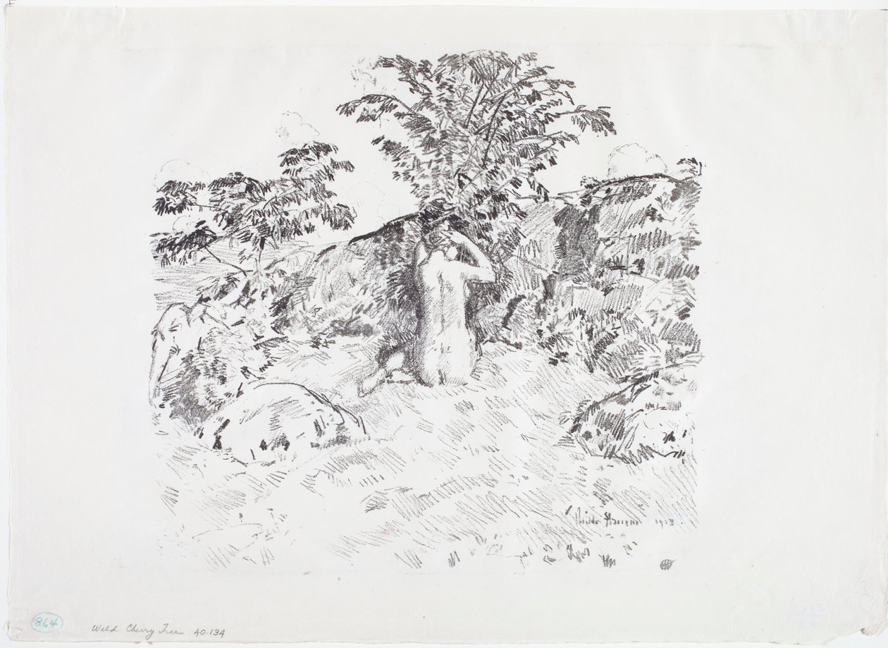 Ciliegio Selvatico da Childe Frederick Hassam