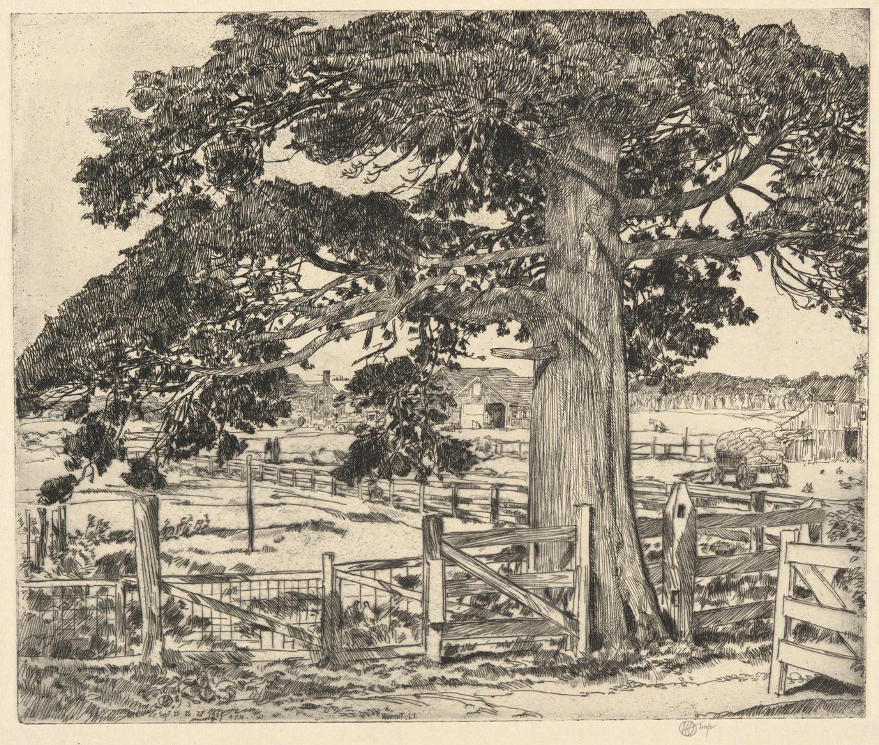 Grande Cedro, Wainscott, L. I., 1929 da Childe Hassam