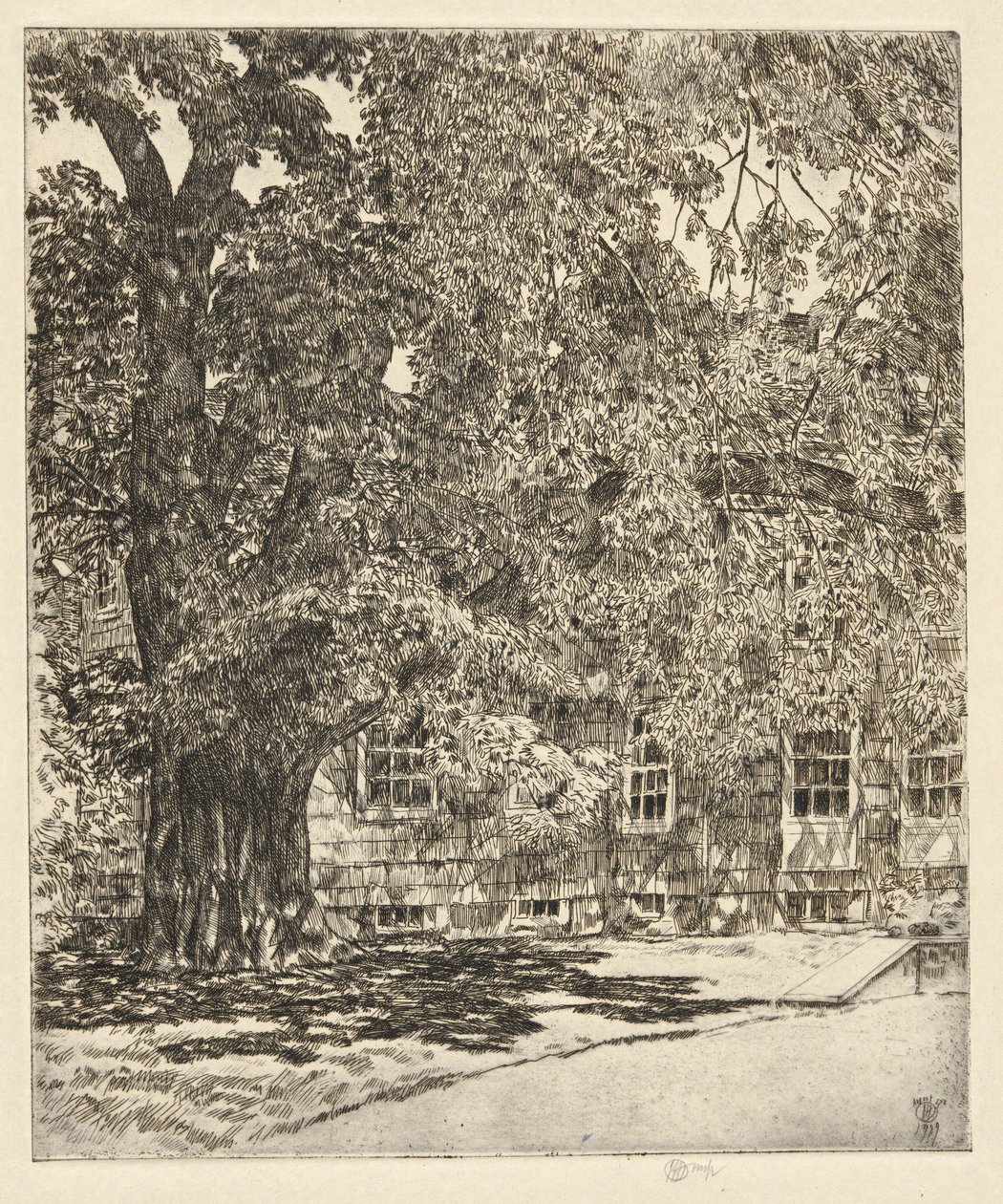 Olmo Gigante, 1929 da Childe Hassam