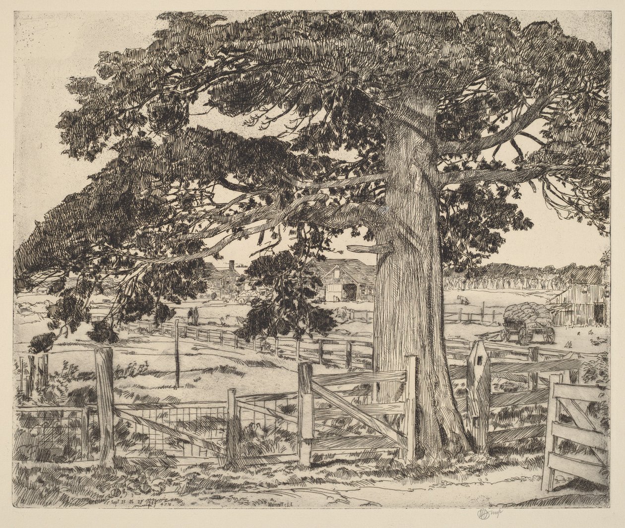 Il grande cedro da Childe Hassam