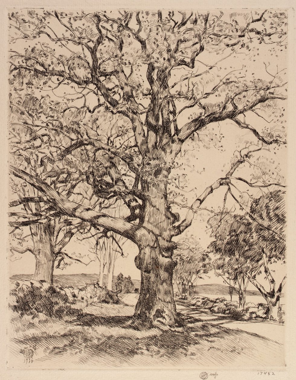 Wayside Inn Oaks in primavera da Childe Hassam