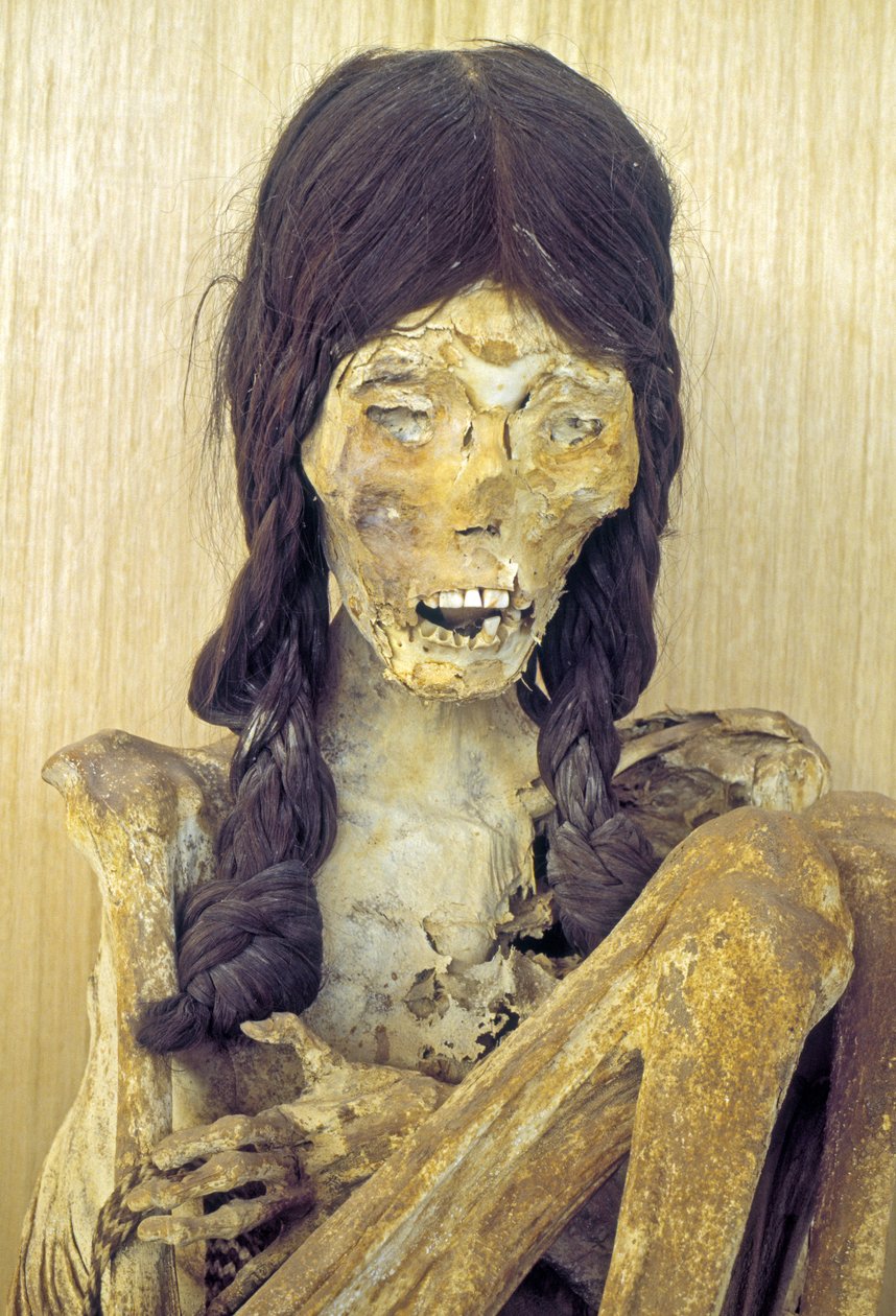 Corpo mummificato di una giovane donna da Chilean School