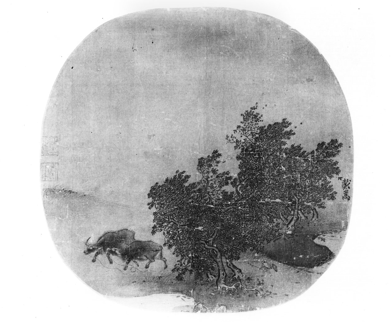 Paesaggio con bufalo d