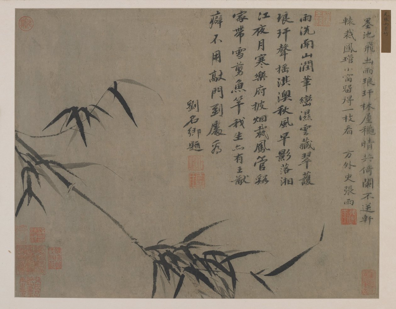 Un ramo di bambù, forse dinastia Qing da Chinese School