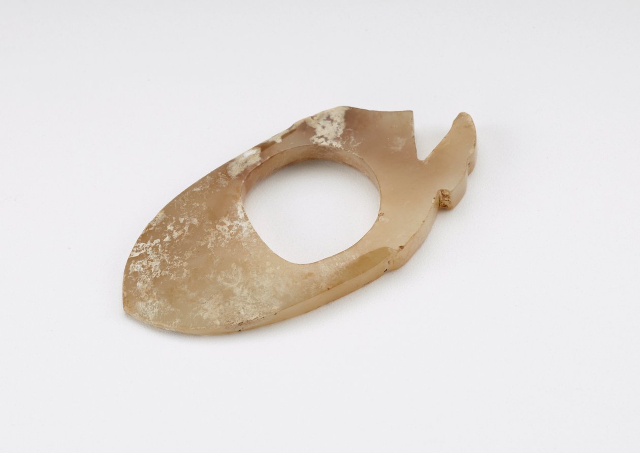 Anello per il pollice dell