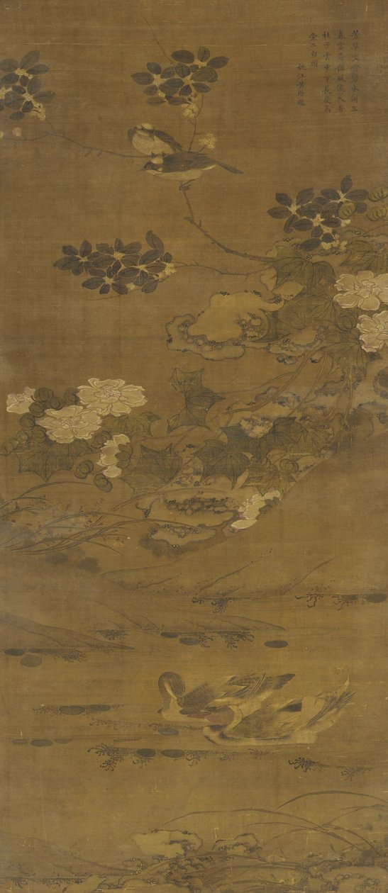 Fiori, anatre e altri uccelli, dinastia Ming o Qing, XV-XVIII secolo da Chinese School