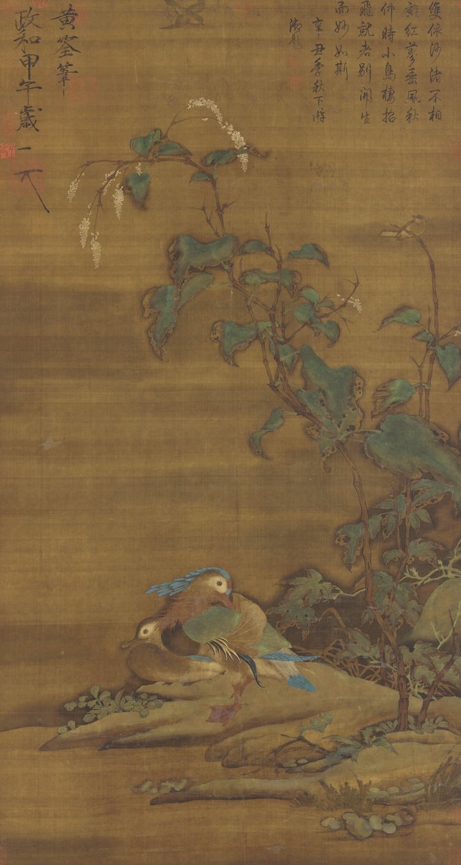 Anatre mandarino sotto il poligono, dinastia Ming o Qing, 15°-18° secolo da Chinese School