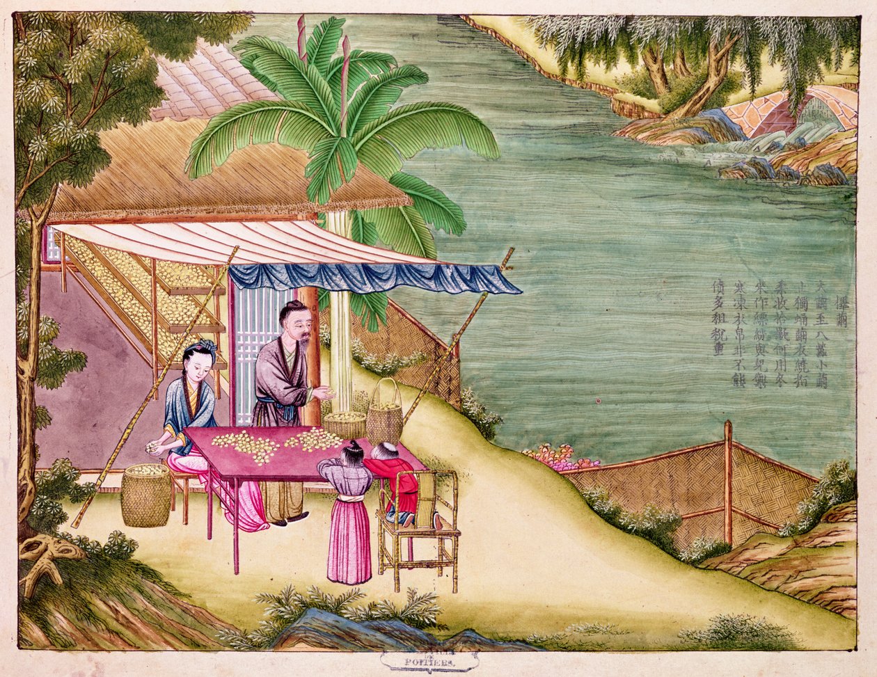 Ms 202 f.6 Ordinamento dei bozzoli, da un libro sull