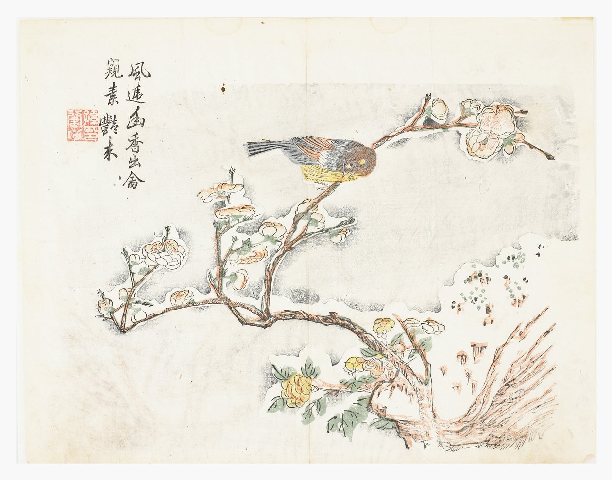 Giardino dei semi di senape da Chinese School