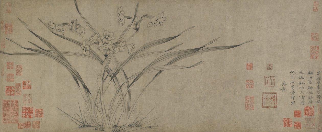 Narciso, Dinastia Song da Chinese School