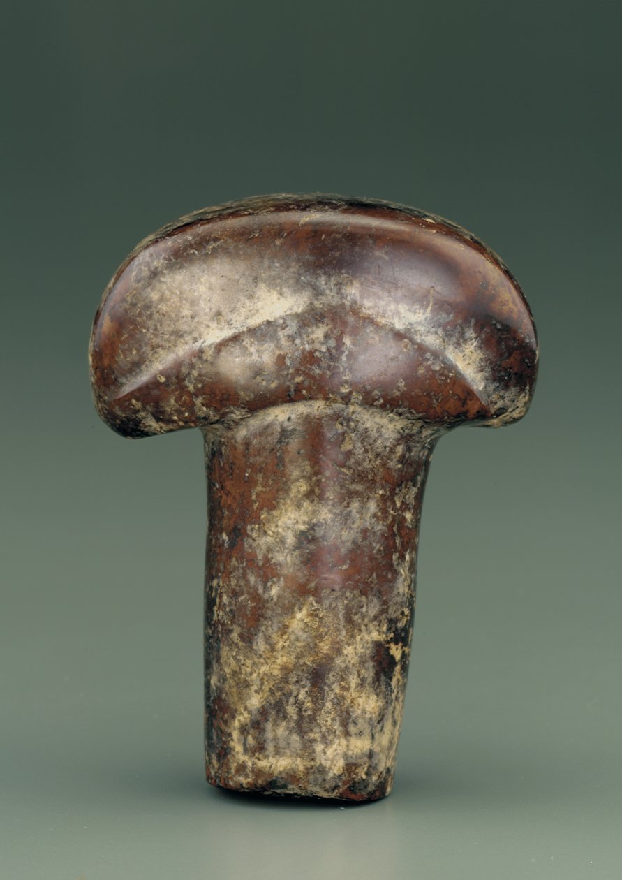 Oggetto a forma di asta ovale sormontata da un grosso pomello semicircolare (serpentina) da Chinese School