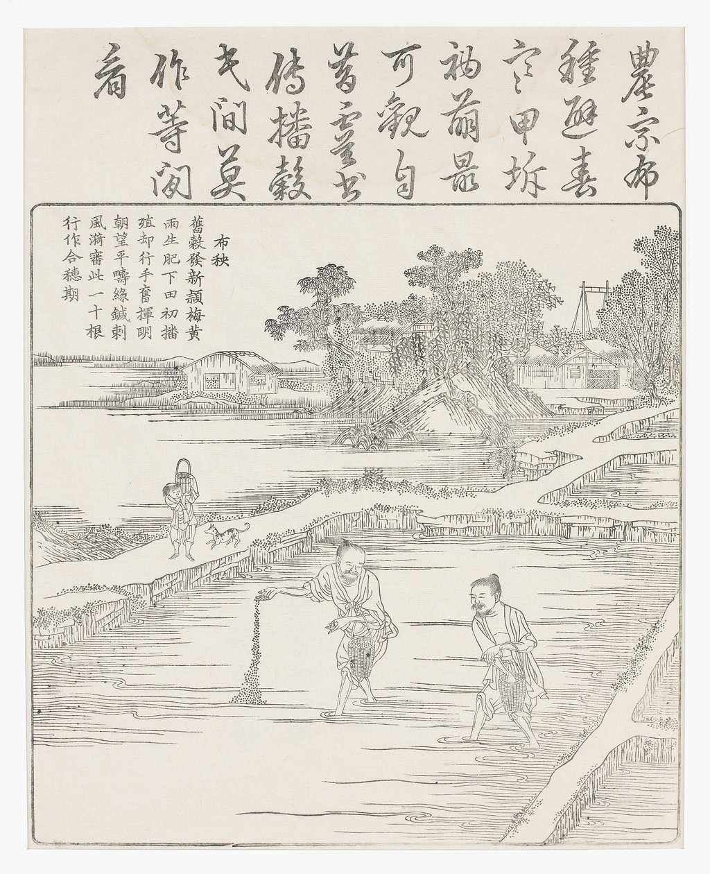 Semina del riso in un semenzaio, XVIII secolo da Chinese School