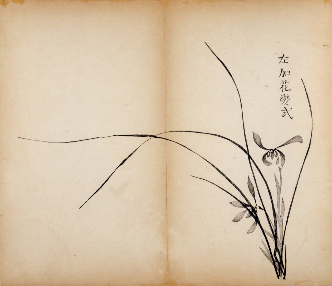 Stampe dello Studio dei Dieci Bambù, 1643 da Chinese School