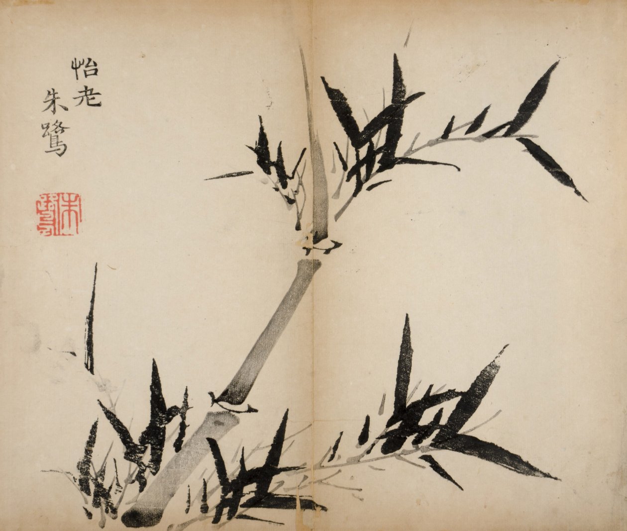Stampe dello Studio dei Dieci Bambù, 1643 da Chinese School