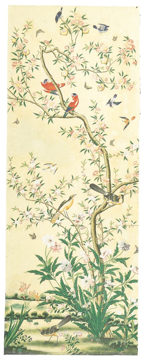 Immagine Sconosciuta da Chinese School