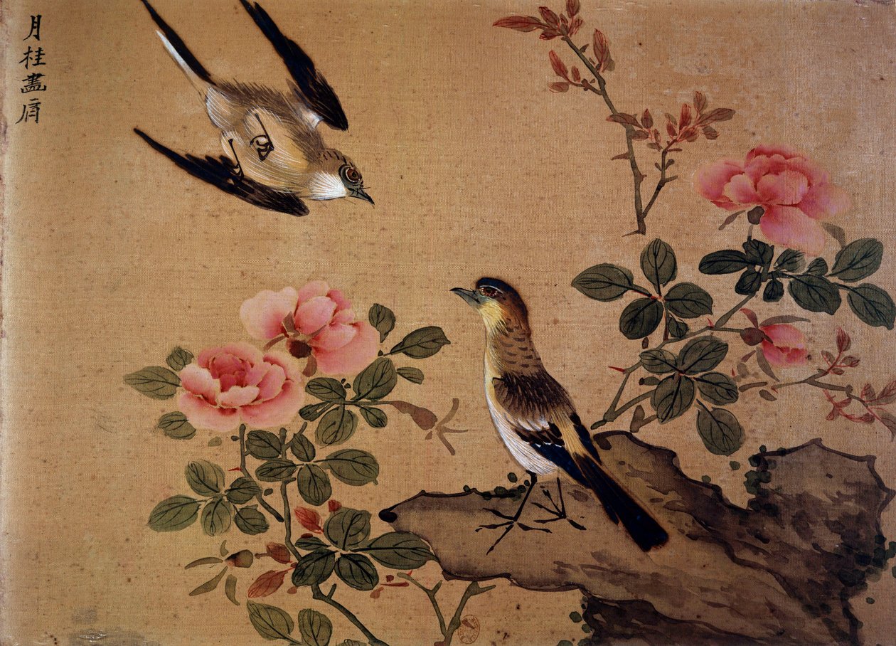Immagine sconosciuta da Chinese School