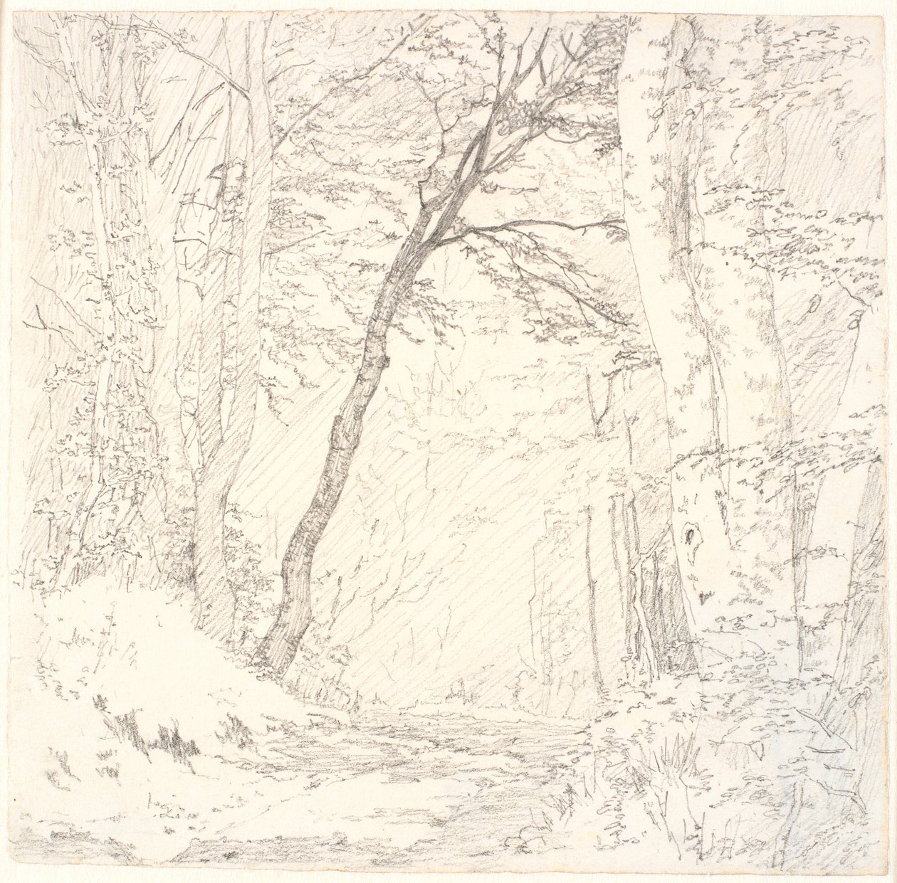 Strada attraverso una foresta da Christen Købke