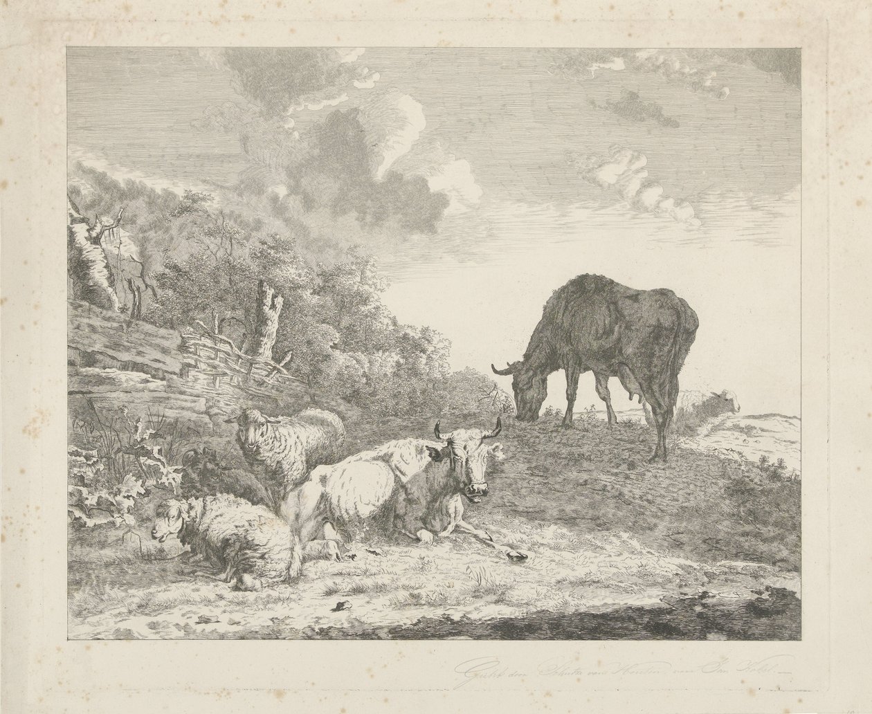 Paesaggio con bestiame da Christiaan Godfried Schutze van Houten