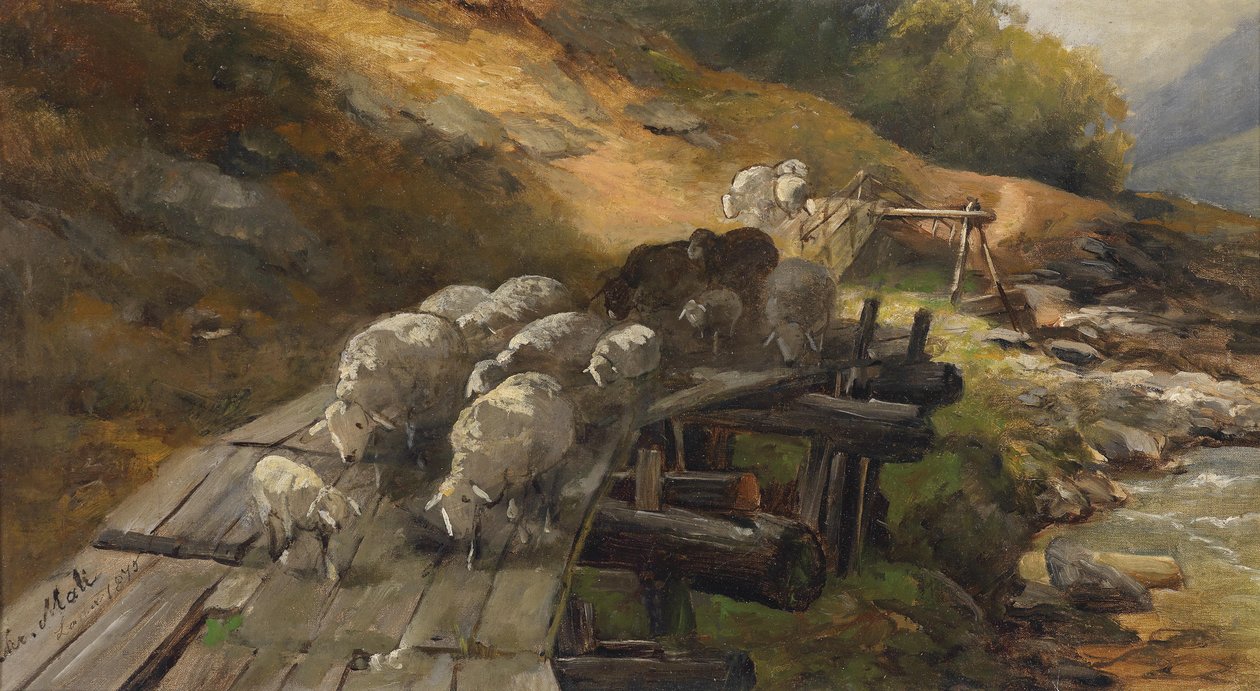 Pecore attraversano un fiume da Christian Mali